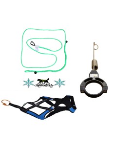 Kit canitrottinette ou cani VTT